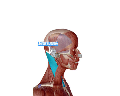 61F7B5C0-7CBD-4BE8-A971-DE6B12F74F2D