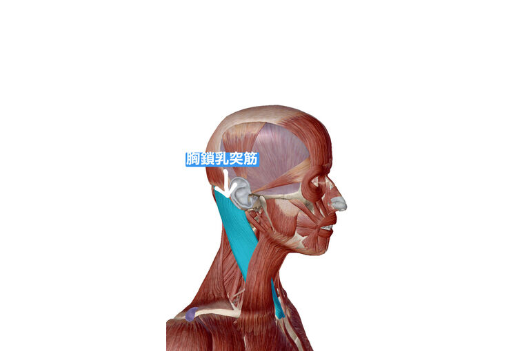 61F7B5C0-7CBD-4BE8-A971-DE6B12F74F2D
